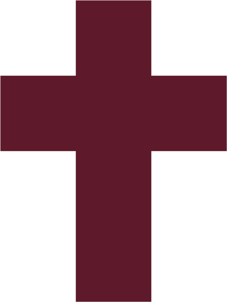 cross icon